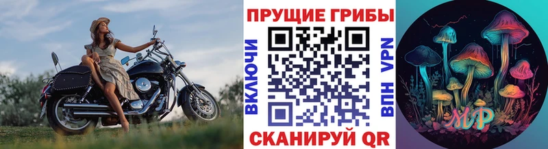 Псилоцибиновые грибы прущие грибы  Купить закладки  Гагарин 