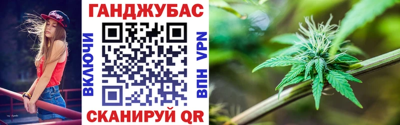 МАРИХУАНА план  Купить закладки  Гагарин 